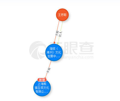起底王思聰投資神話 吹出來(lái)的泡沫？