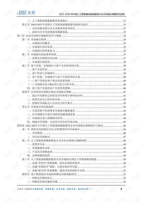 2021-2025年中國人工智能基礎(chǔ)數(shù)據(jù)服務(wù)與行業(yè)應(yīng)用系統(tǒng)集成服務(wù)市場(chǎng)細(xì)分策略研究報(bào)告